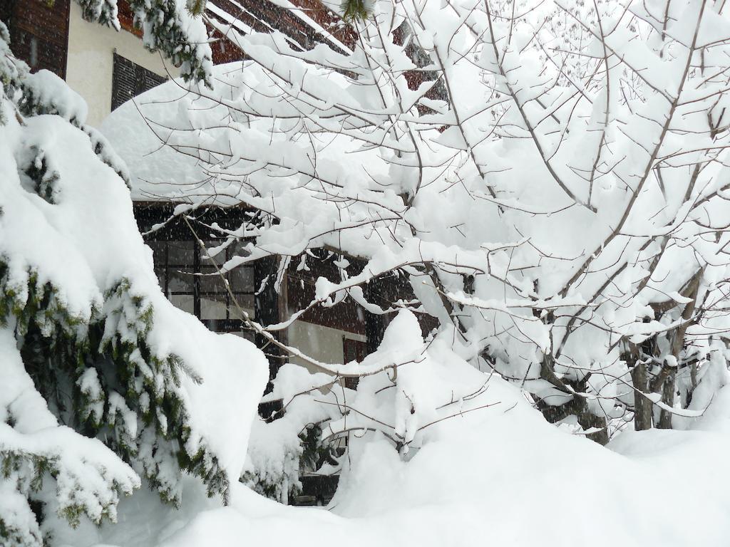 Residence Felik Gressoney-la-Trinité Eksteriør bilde
